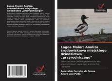 Borítókép a  Lagoa Maior: Analiza środowiskowa miejskiego dziedzictwa „przyrodniczego” - hoz