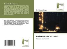 Couverture de Entends Mes Silences
