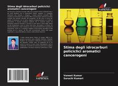 Bookcover of Stima degli idrocarburi policiclici aromatici cancerogeni