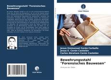 Bewehrungsstahl "Forensisches Bauwesen"的封面