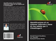 Couverture de Identificazione di un sistema colturale a base di riso adatto per il Chhattisgarh