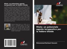 Bookcover of Miele: un potenziale agente terapeutico per la febbre tifoide