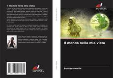 Copertina di Il mondo nella mia vista