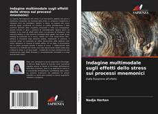 Borítókép a  Indagine multimodale sugli effetti dello stress sui processi mnemonici - hoz