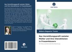 Buchcover von Das Vermittlungsprofil sozialer Mütter und ihre Interaktionen in Frauenhäusern