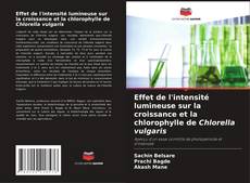 Copertina di Effet de l'intensité lumineuse sur la croissance et la chlorophylle de Chlorella vulgaris