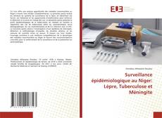 Bookcover of Surveillance épidémiologique au Niger: Lèpre, Tuberculose et Méningite