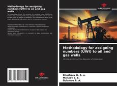 Bookcover of Methodology for assigning numbers (UWI) to oil and gas wells