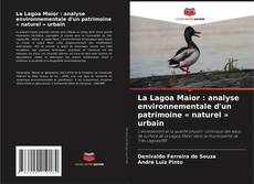 Buchcover von La Lagoa Maior : analyse environnementale d'un patrimoine « naturel » urbain