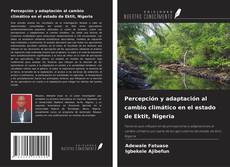 Capa do livro de Percepción y adaptación al cambio climático en el estado de Ektit, Nigeria 