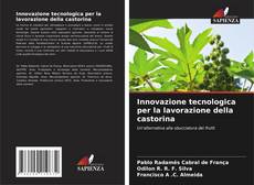 Borítókép a  Innovazione tecnologica per la lavorazione della castorina - hoz