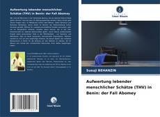 Aufwertung lebender menschlicher Schätze (THV) in Benin: der Fall Abomey的封面