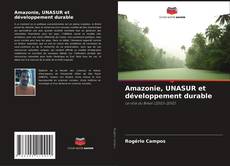 Buchcover von Amazonie, UNASUR et développement durable