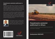 Bookcover of Pozyskiwanie zamówień publicznych w Afryce