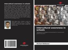 Intercultural awareness in schools kitap kapağı