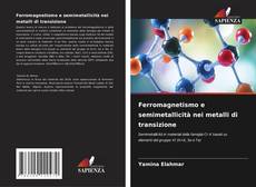 Bookcover of Ferromagnetismo e semimetallicità nei metalli di transizione