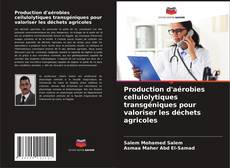 Capa do livro de Production d'aérobies cellulolytiques transgéniques pour valoriser les déchets agricoles 