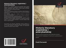 Historia literatury angielskiej i amerykańskiej的封面