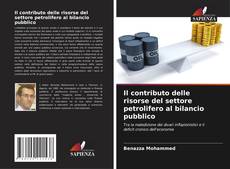 Il contributo delle risorse del settore petrolifero al bilancio pubblico的封面