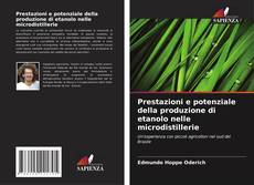 Bookcover of Prestazioni e potenziale della produzione di etanolo nelle microdistillerie