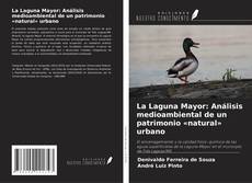 Couverture de La Laguna Mayor: Análisis medioambiental de un patrimonio «natural» urbano