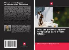 Copertina di Mel: um potencial agente terapêutico para a febre tifóide