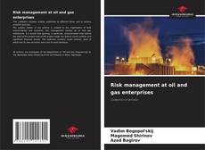 Borítókép a  Risk management at oil and gas enterprises - hoz