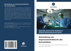 Capa do livro de Behandlung von Impressionsfrakturen der Extremitäten 