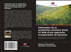 Copertina di Estimation de la production primaire brute à l'aide d'une approche d'exploration de données