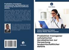 Copertina di Produktion transgener cellulytischer Aerobakterien zur Verwertung landwirtschaftlicher Abfälle