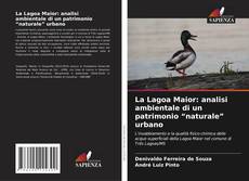 Couverture de La Lagoa Maior: analisi ambientale di un patrimonio “naturale” urbano