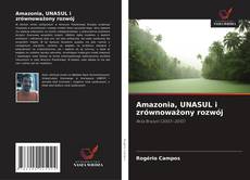 Buchcover von Amazonia, UNASUL i zrównoważony rozwój
