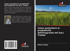 Borítókép a  Come aumentare la produttività dell'Eragrostis tef Zucc Trotter - hoz