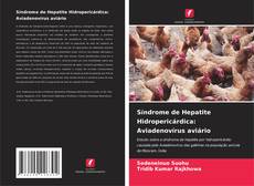 Copertina di Síndrome de Hepatite Hidropericárdica: Aviadenovírus aviário