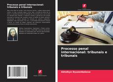 Borítókép a  Processo penal internacional: tribunais e tribunais - hoz
