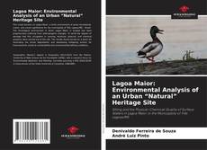 Обложка Lagoa Maior: Environmental Analysis of an Urban “Natural” Heritage Site