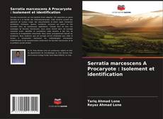 Bookcover of Serratia marcescens A Procaryote : Isolement et identification