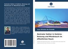 Zentraler Sektor in Goiânia: Nutzung und Missbrauch im öffentlichen Raum的封面