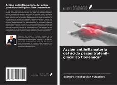 Copertina di Acción antiinflamatoria del ácido paranitrofenil-glioxílico tiosemicar