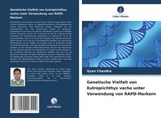Copertina di Genetische Vielfalt von Eutropiichthys vacha unter Verwendung von RAPD-Markern