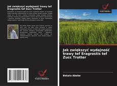 Buchcover von Jak zwiększyć wydajność trawy tef Eragrostis tef Zucc Trotter