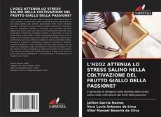 Copertina di L'H2O2 ATTENUA LO STRESS SALINO NELLA COLTIVAZIONE DEL FRUTTO GIALLO DELLA PASSIONE?