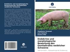 Обложка Endokrine und morphologische Bewertung des Genitaltrakts weiblicher Schweine