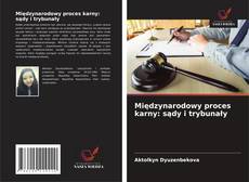 Międzynarodowy proces karny: sądy i trybunały的封面