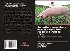 Copertina di Évaluation endocrinienne et morphologique de l'appareil génital des truies