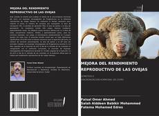 Copertina di MEJORA DEL RENDIMIENTO REPRODUCTIVO DE LAS OVEJAS