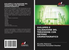 SVILUPPO E VALIDAZIONE DEL TERIZIDONE CON METODO CROMATOGRAFICO的封面