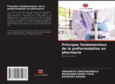 Bookcover of Principes fondamentaux de la préformulation en pharmacie