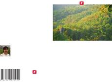 Copertina di Estimativa da produção primária bruta utilizando uma abordagem de mineração de dados