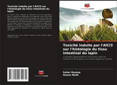 Copertina di Toxicité induite par l'AlCl3 sur l'histologie du tissu intestinal du lapin